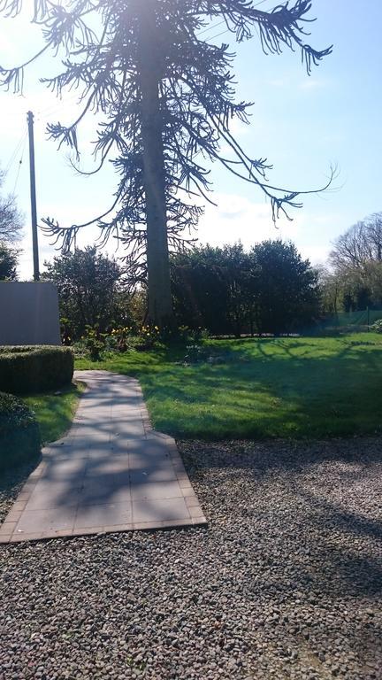 Marlagh Lodge Ballymena Exteriér fotografie
